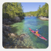 Canada, British Columbia, Vancouver Island. Sea Stickers