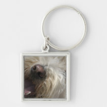 Canada, British Columbia, Vancouver Key Chain