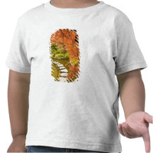 CANADA, British Columbia, Victoria. Autumn Tshirt