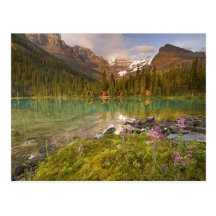 Canada, British Columbia, Yoho National Park. 2 Post Cards