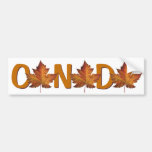 Canada Bumper Sticker Autumn Gold Maple Leaf