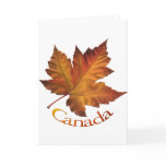 Canada Cards Canada Maple Leaf Greeting Cards