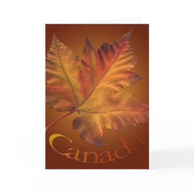 Canada Cards Canada Maple Leaf Greeting Cards by artist_kim_hunter