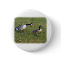 Canada Geese 9R005D-114 Pins