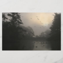 Canada Geese and Morning Fog Full Color Flyer