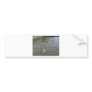 Canada Geese Bumper Stickers