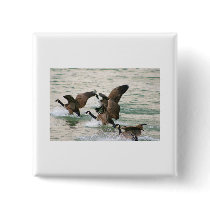 Canada Geese Button