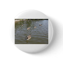 Canada Geese Pin