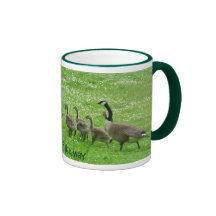 Canada Geese Coffee Cups Mugs Geese Glasses