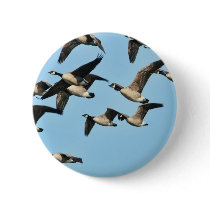 Canada Geese Flock in Flight Pinback Buttons