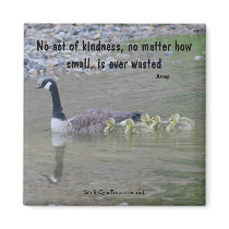 Canada Geese Kindness Positive Affirmations Magnet