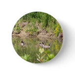 Canada Geese on Pond Button