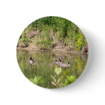 Canada Geese on Pond Button