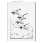 Canada Geese Pen and Ink Greeting Card
