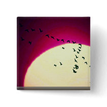 Canada geese silhouetted against setting sun buttons