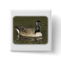 Canada Goose 9P051D-145 Button