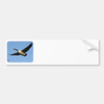 Canada Goose 9R005D-123 Bumper Sticker