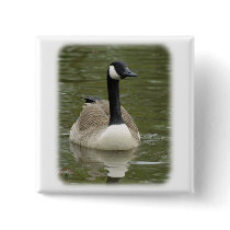 Canada Goose 9R038D-005 Pinback Buttons