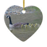 Canada Goose Babies 3 Animal Ornament