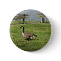 Canada Goose Pins