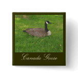 Canada Goose Button