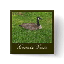 Canada Goose Button