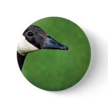 Canada goose pin