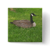 Canada Goose Button