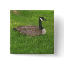 Canada Goose Button