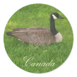 Canada Goose Canada Stickers