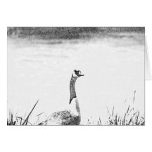Canada Goose Card