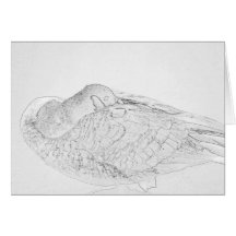 Canada Goose Card
