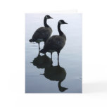 Canada Goose Cards Canada Geese Greeting Cards
