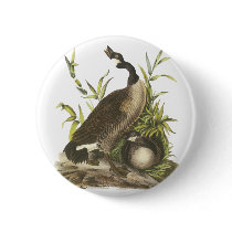 Canada Goose, John Audubon Pinback Button