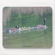 Canada Goose Mom Babies Nature Photo Mousepad