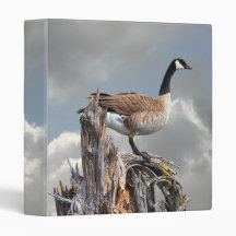 CANADA GOOSE ON A SNAG BINDERS