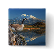 CANADA GOOSE ON THE LAKE PINS