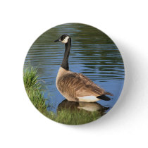 Canada Goose Painting Button