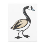 Canada Goose Post Cards