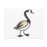 Canada Goose Post Card