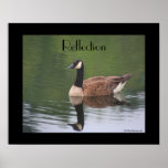 Canada Goose Reflections Inspirational Poster