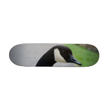 Canada goose skateboard
