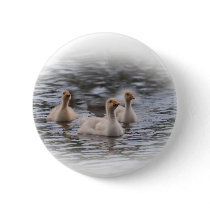 Canada Goslings Pinback Button