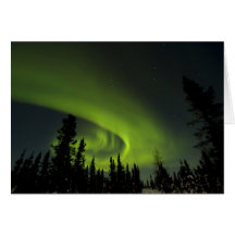 Canada, Manitoba. View of aurora borealis and Greeting Card