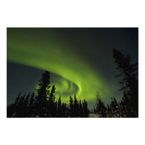 Canada, Manitoba. View of aurora borealis and