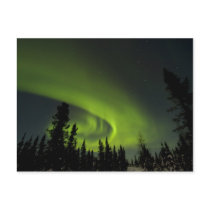 Canada, Manitoba. View of aurora borealis and Postcard