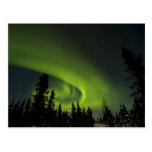 Canada, Manitoba. View of aurora borealis and Postcard
