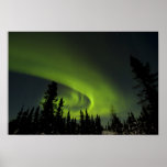 Canada, Manitoba. View of aurora borealis and Posters