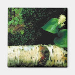 Canada Mayflower Magnet