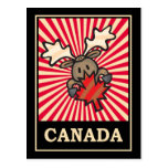 Canada Moose Postcard